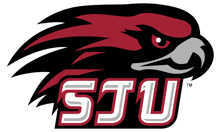 St. Joseph's Hawks 2002-2007 Secondary Logo iron on transfers for clothing
